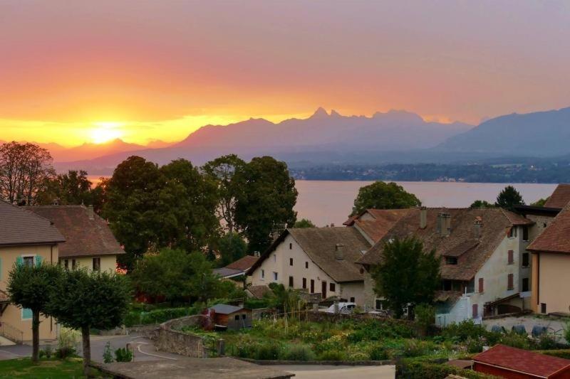 Appartement Cosy Et Confortable A Deux Pas Du Lac Excénevex Exterior foto